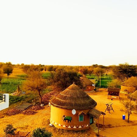 Desert Nights Мандава Номер фото